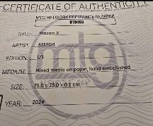 Image 1 of Aiiroh malcom x 1/1 met originele certificaat 