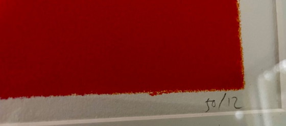 Image 1 of Stampa stencil colorata di Judith Stolker – 12/50