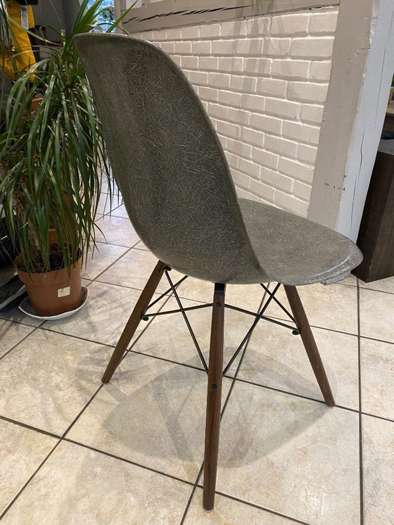 Image 1 of Sedia DSW, fibra grigio elefante, noce tassello, Eames Herman Miller vintage 1950