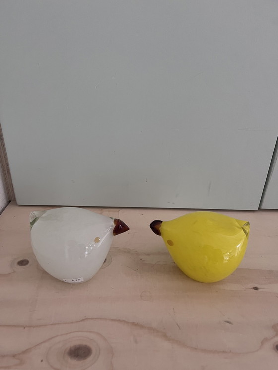 Image 1 of Murano kip vogels geel wit set