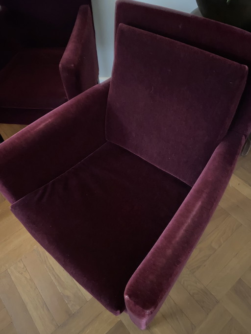 6 sedie da pranzo in velluto bordeaux di Bench