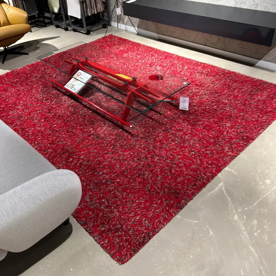 Image 1 of Millenerpoort Licasa vloerkleed - 235x300