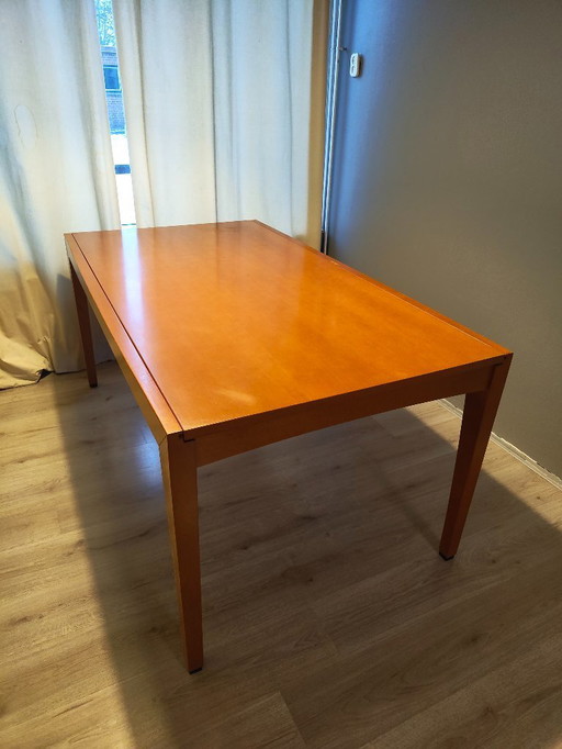 Leolux extendable dining table