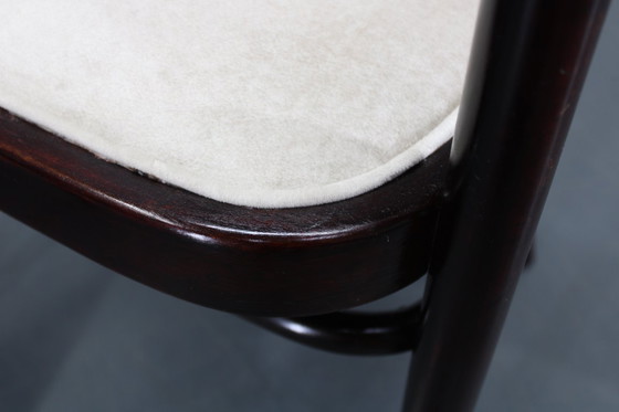 Image 1 of Pareja de sillones Thonet de los años 30 restaurados , Checoslovaquia