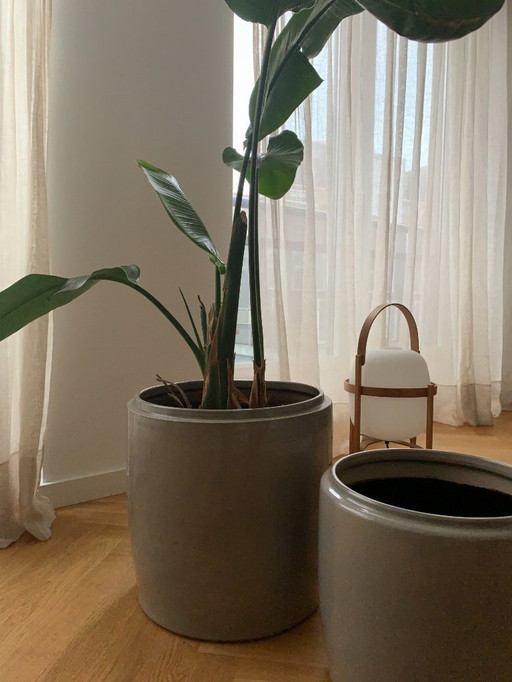 Set of 2 Serax indoor decorative pots