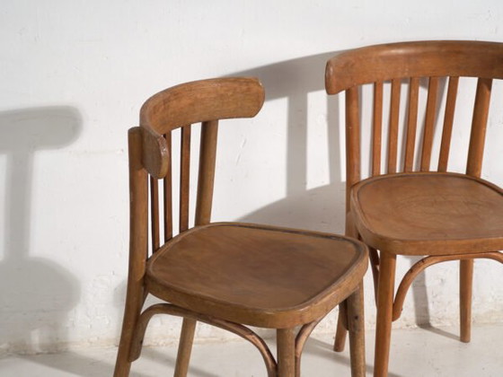 Pair of Thonet style bentwood chairs with low back – Central Europe, circa 1920 – Dining chairs (photo 12 of 40)