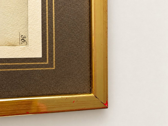 2 Stampe d'Arte Vintage Jacopo Ligozzi – Uffizi Firenze – Incorniciate – Litografie e stampe, Paper (photo 6 of 9)