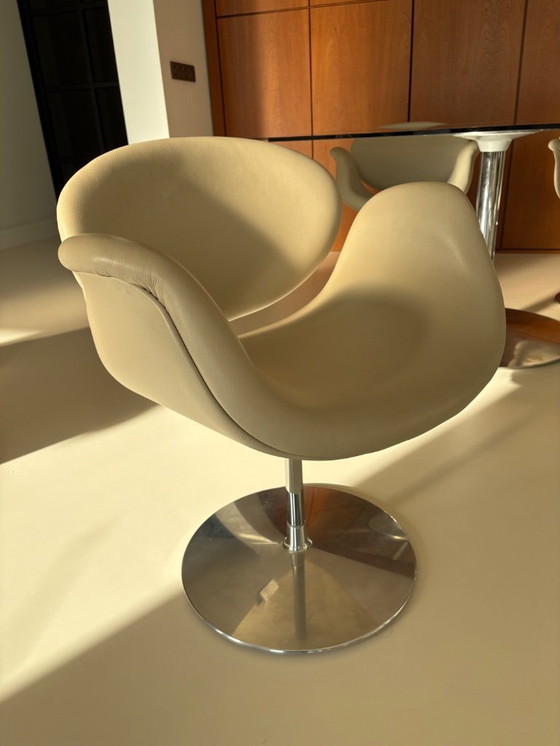 Image 1 of Cuero crema Artifort Tulip