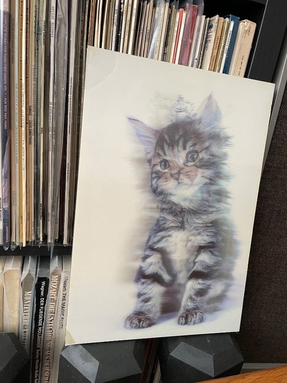 Impresión lenticular, Gatito, Multicolor, Láminas artísticas, 1990 (foto 5 de 11)