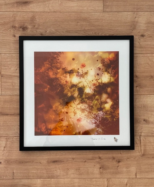 Fotografía artística firmada por Fredrik Altinell (con marco de madera). – fotografie, Paper