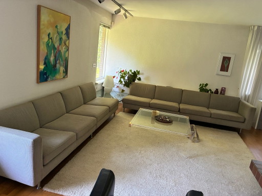 Minotti Sofas