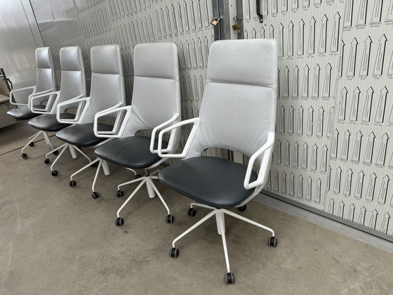 Image 1 of 6x Artifort Zuma Design Patrick Norguet