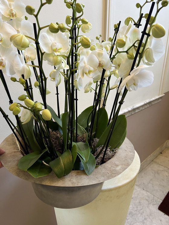 Image 1 of Jardinera de fibra de vidrio 1984 / 140 cm de alto