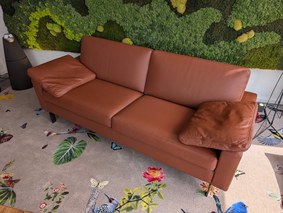 Canapé design COR Conseta – Canapés 2 places, Leather (photo 2 of 13)