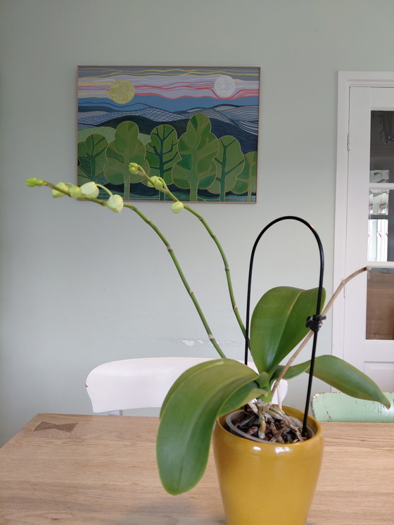 Image 1 of "Forest Dream" Gallery Suncorner