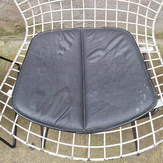 Image 1 of Set van 4 draadstoelen van Harry Bertoia, jaren 60.