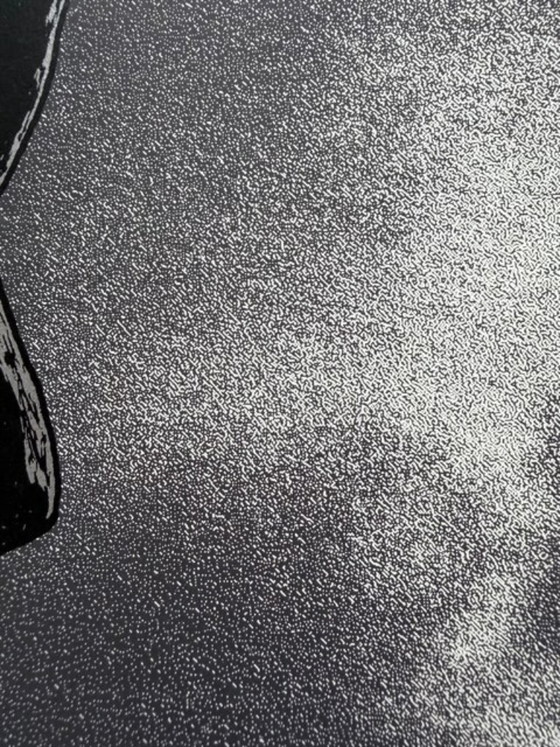 Image 1 of Foo Fighters, Bern-poster door Tommy Davidson-Hawley – handgedrukte 4-kleuren zeefdruk, UK