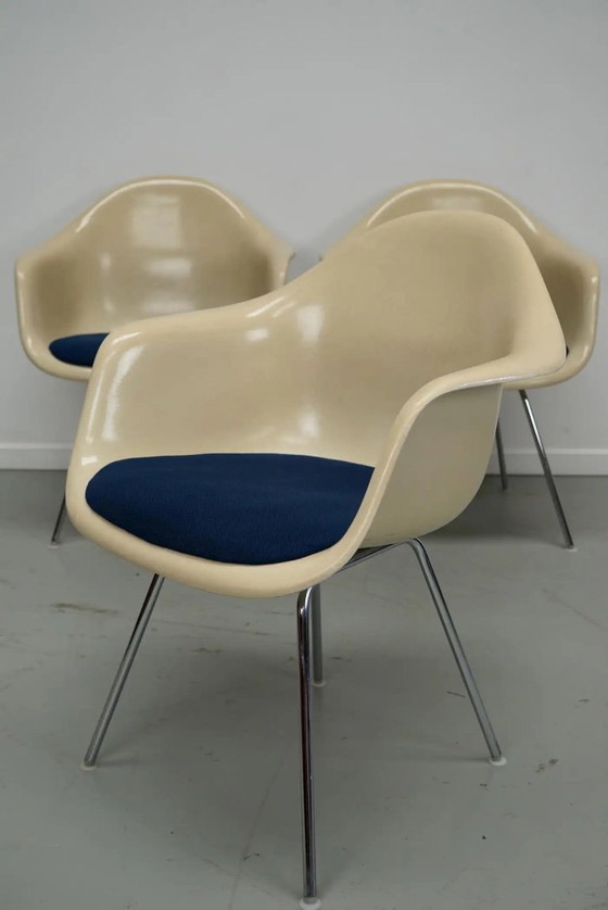 Image 1 of Set di tre poltrone DAX in fibra di vetro color pergamena, Eames per Herman Miller / Vitra