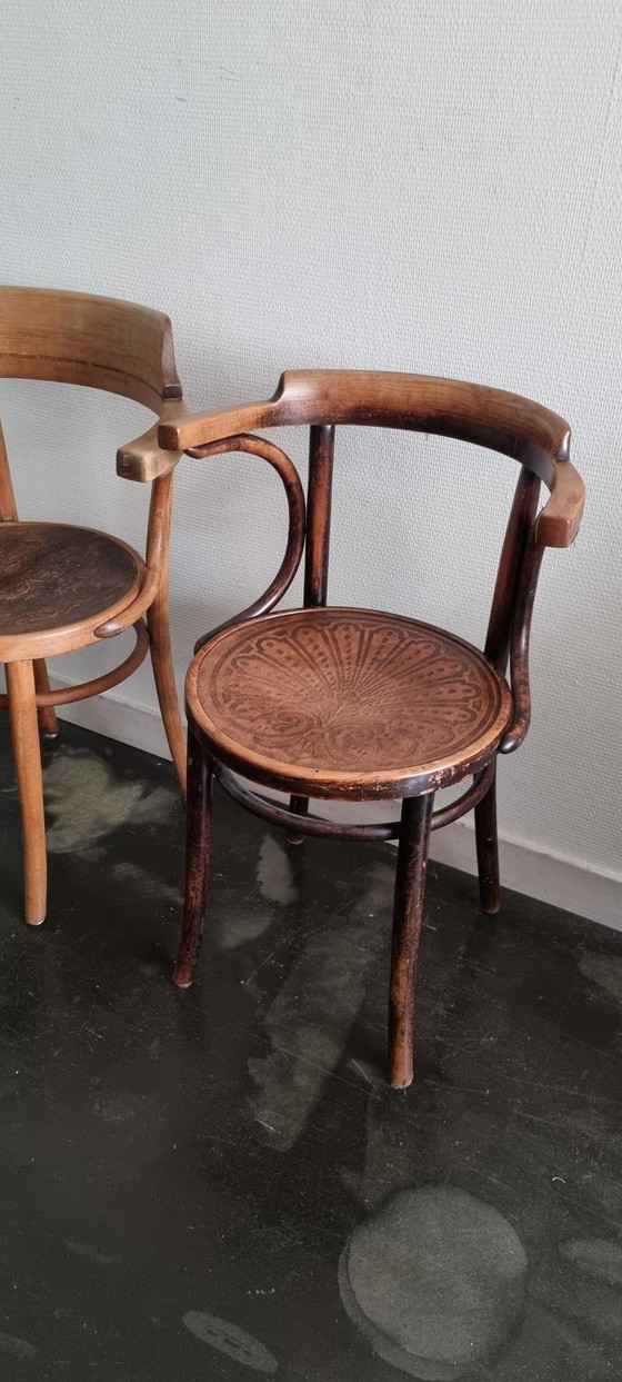 Image 1 of 2 Thonet stoelen