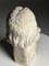 Testa di statua classica, XX secolo, gesso – Sculture (photo 14 of 17)