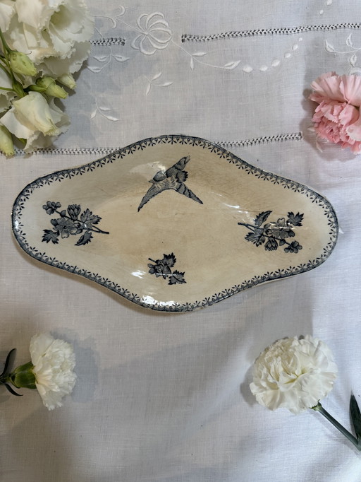 Longwy titmouse ravine