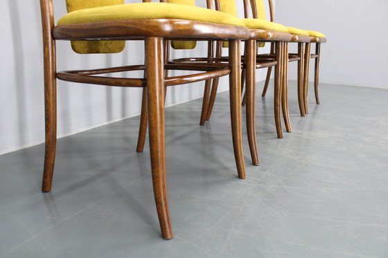 Image 1 of Juego de cuatro sillas de comedor de madera curvada de haya restauradas de la década de 1970, de TON, Checoslovaquia
