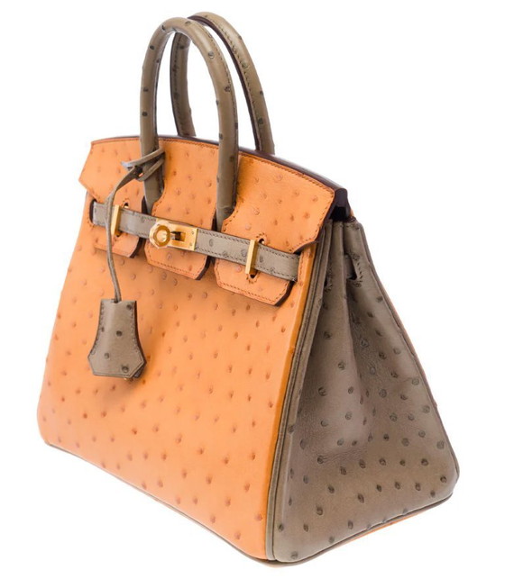 Image 1 of Sac HERMES Birkin 25 en Cuirs exotiques Marron - 103410