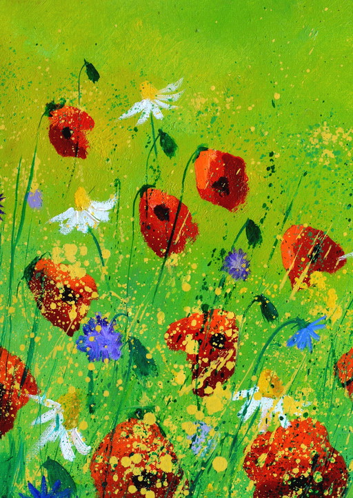 Coquelicots rouges