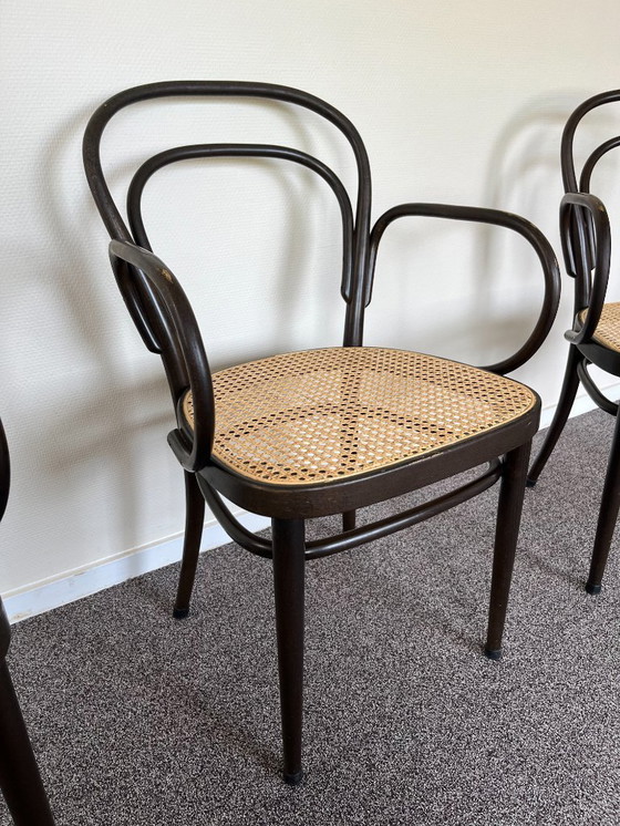 Image 1 of 6x Thonet 214f ​​​​​​Stoelen