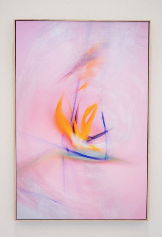 Image 1 of Paradiseflow Kunstwerk von Lieke Marleen van Kalken lilxlylilxly