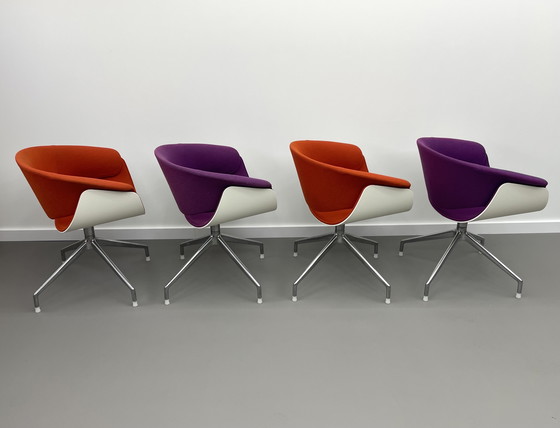 Image 1 of B&B Italia  Sina kuipstoel 4 stuks