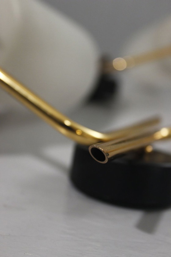 Image 1 of Pareja de apliques de pared de los años 50, diseño Arlus Lunel Guariche Stilnovo