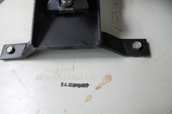 Image 1 of Eames Chairs x Herman Miller