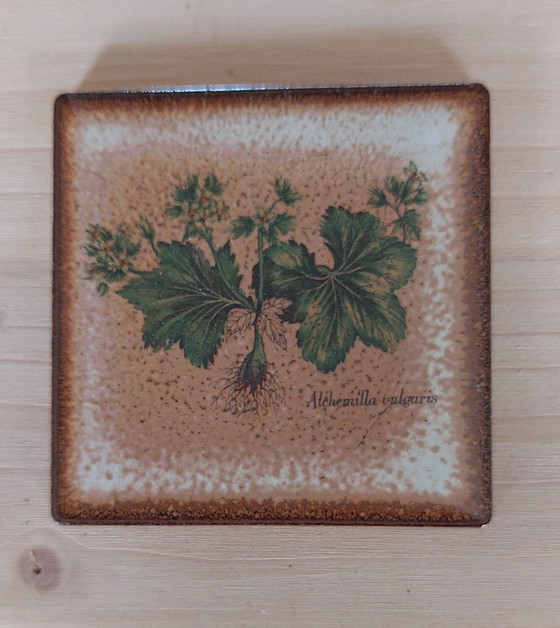 Image 1 of 16 confezioni da 6 piastrelle da parete in ceramica vintage con stampa botanica, anni '70