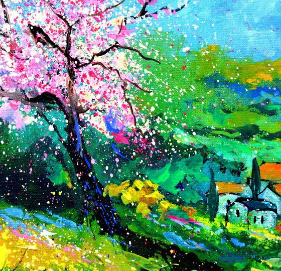 Image 1 of Spring in Provence