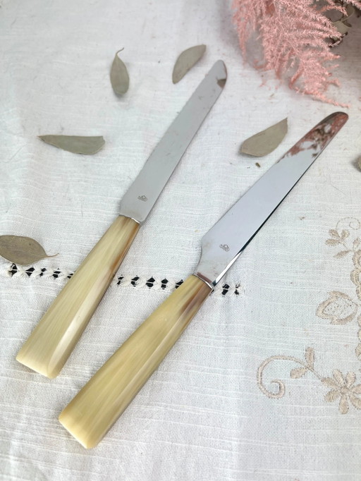 2 coltelli vintage NOGENT in bachelite
