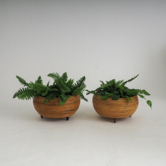 Pair of Italian Mid-Century Pencil-Reed Rattan Planters Attributed to Vivai Del Sud – Plant pot (photo 4 of 23)