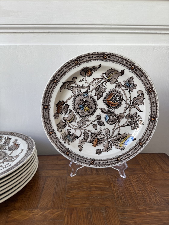 Image 1 of Assiettes Ridgway Jacobean