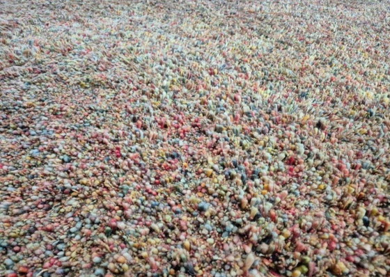 Image 1 of Insanely beautiful, completely natural materials, pure wool brinker custom-made carpet rug