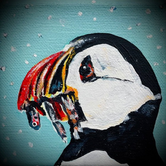 Image 1 of ritratto di pulcinella di mare