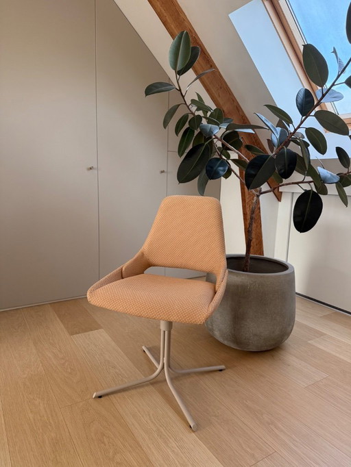 Sedie Quatuor Design