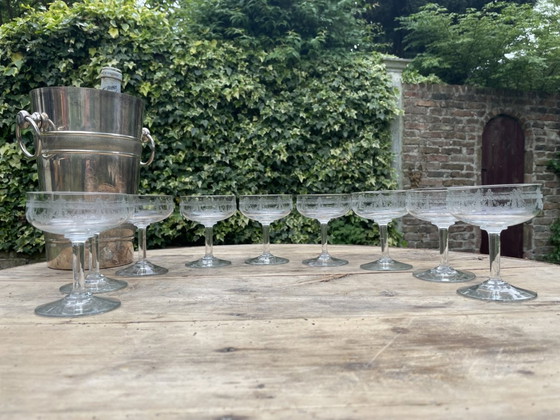 Image 1 of 9x Gravierte Champagne Coupes Champagnergläser 19. Jahrhundert Französisch