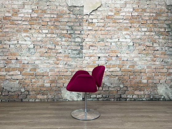 Artifort Little Tulip Purple – Chairs and lounge chairs, Metal, Textile (photo 4 of 15)