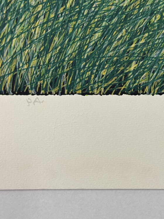 Image 1 of Franco Azzinari zeefdruk, Meiwind, 60x80cm, moderne kunst