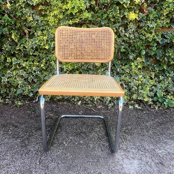 Image 1 of sedia in canna