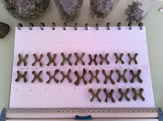 Image 1 of Katanga copper currency