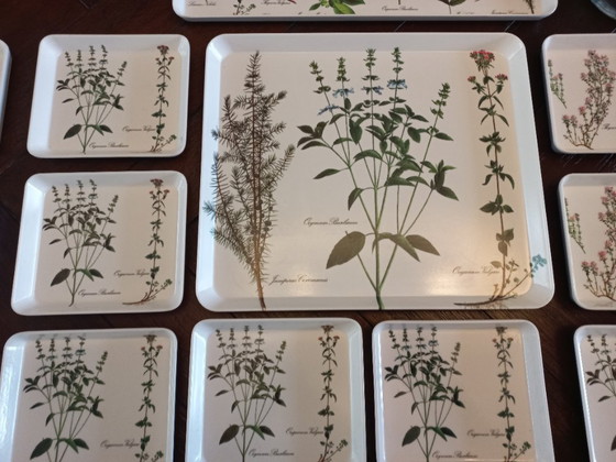 Image 1 of Vassoi botanici del marchio italiano Van Mebel (22)