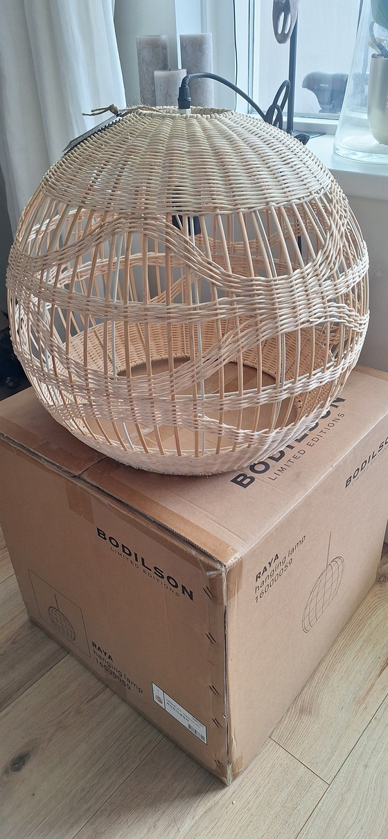 Image 1 of Die neue Raya-Pendelleuchte der Marke Bodilson