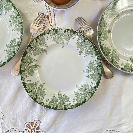 Set of 6 Saint Amand et Hamage ironstone dinner plates, green plane tree pattern