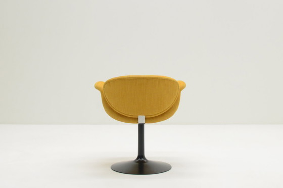 Image 1 of Set di 4 poltroncine Tulip di Pierre Paulin per Artifort, Paesi Bassi, 1960.